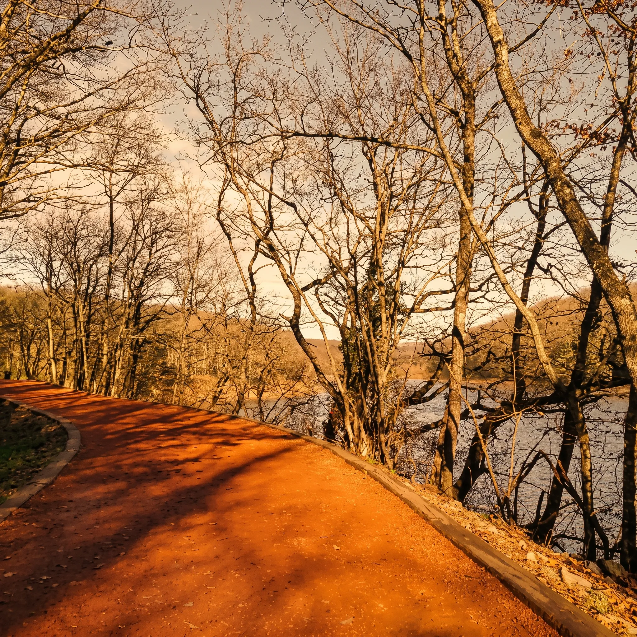 Nature Walk in Belgrade Forest: Istanbul's Green Escape Nature Walk in Belgrade Forest: Istanbul's Green Escape