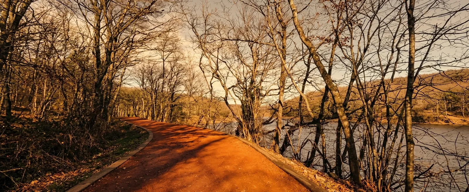 Nature Walk in Belgrade Forest: Istanbul's Green Escape