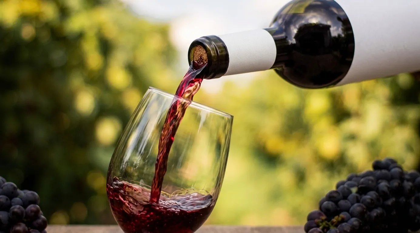 Wine Testing in Cappadocia Wine Testing in Cappadocia