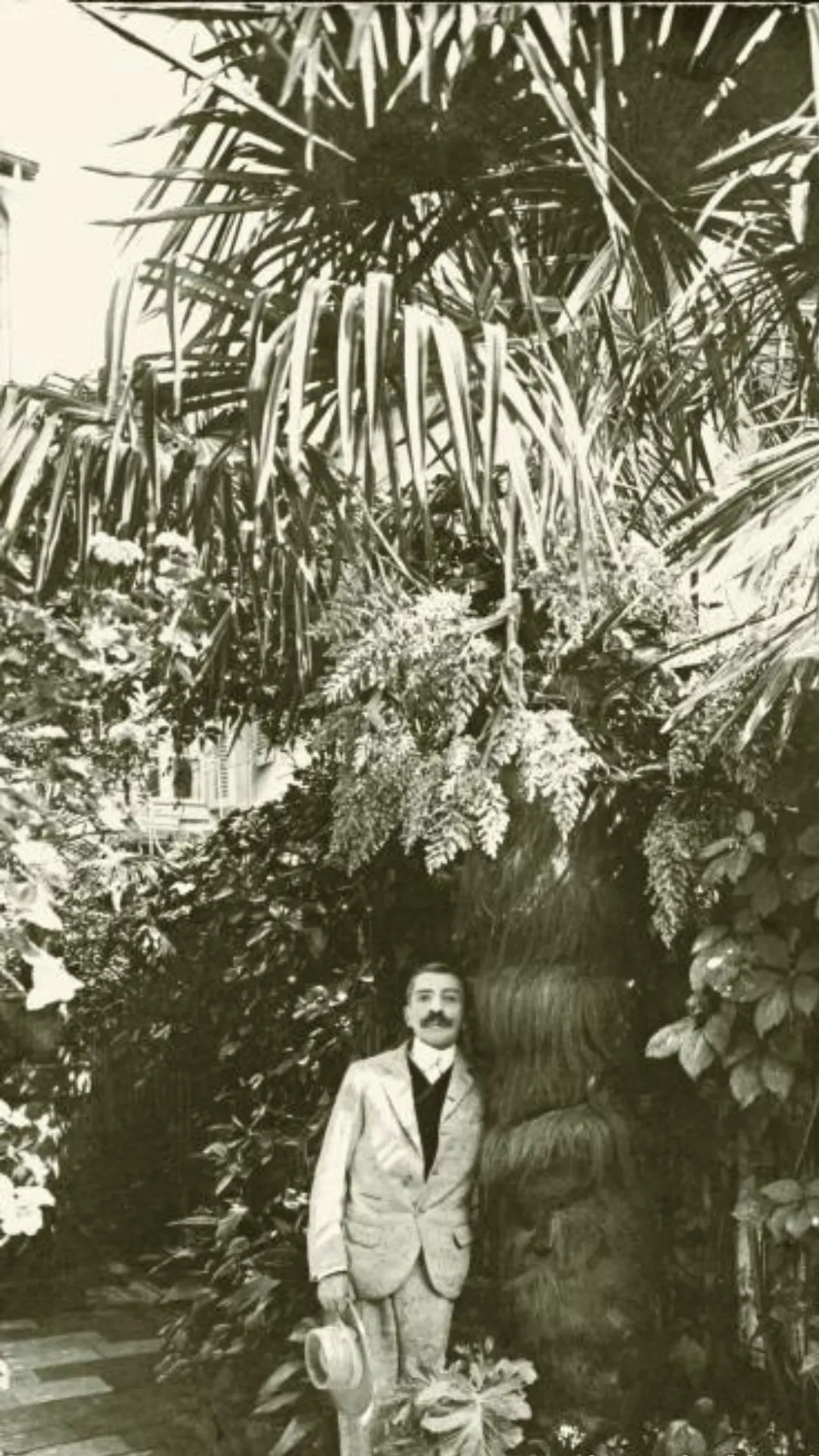 Pier_loti_Hill
