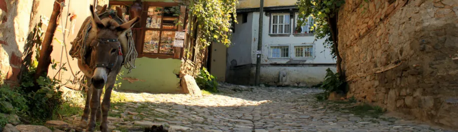 Bursa Tour