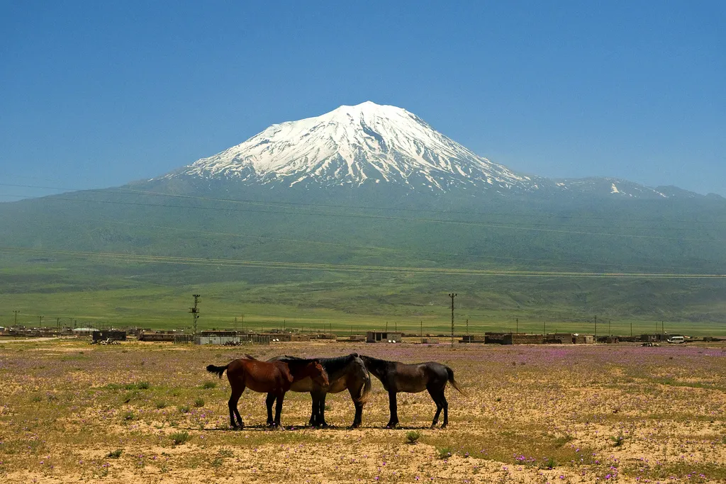 Mt Ararat Tour Mt Ararat Tour