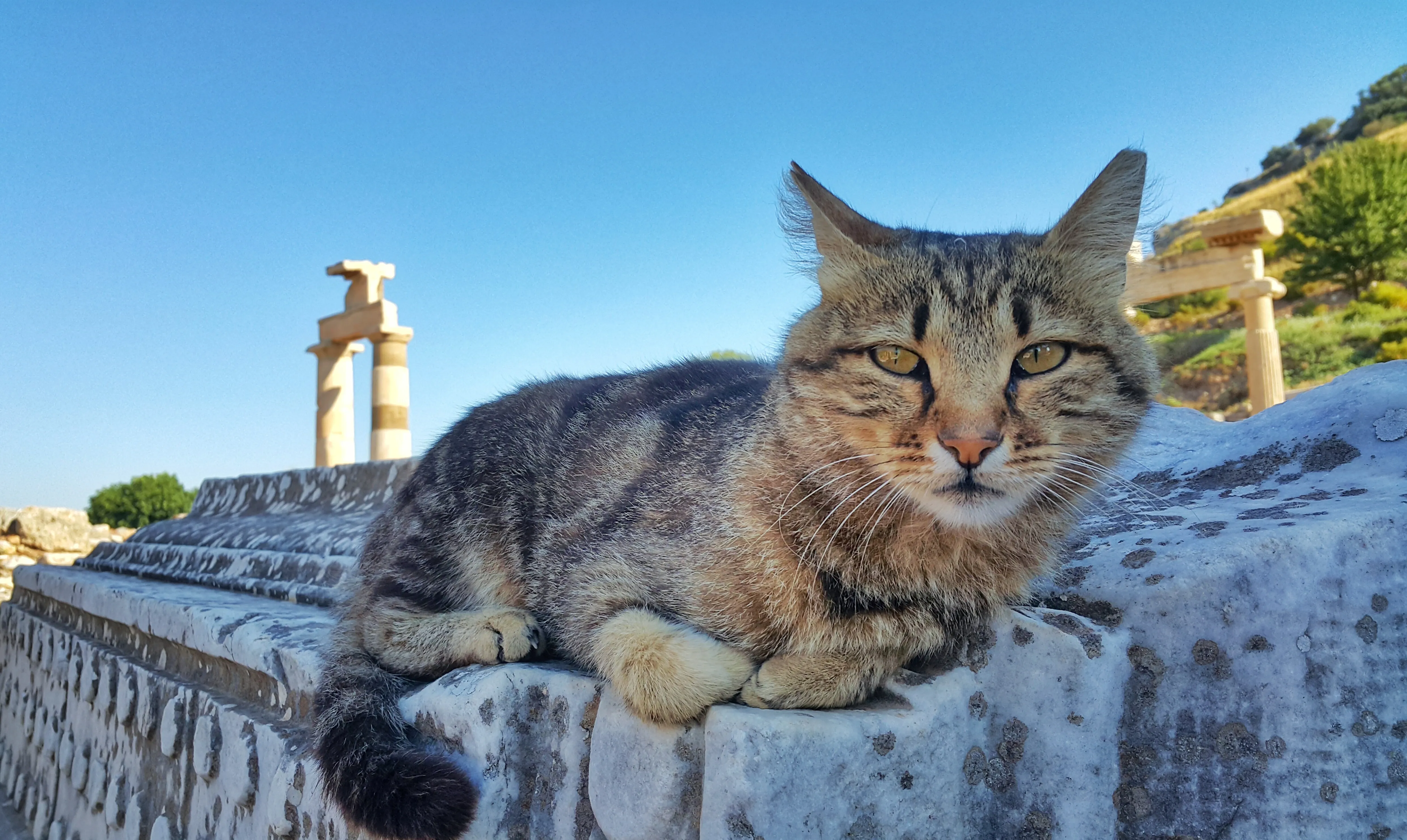efes-02 efes-02