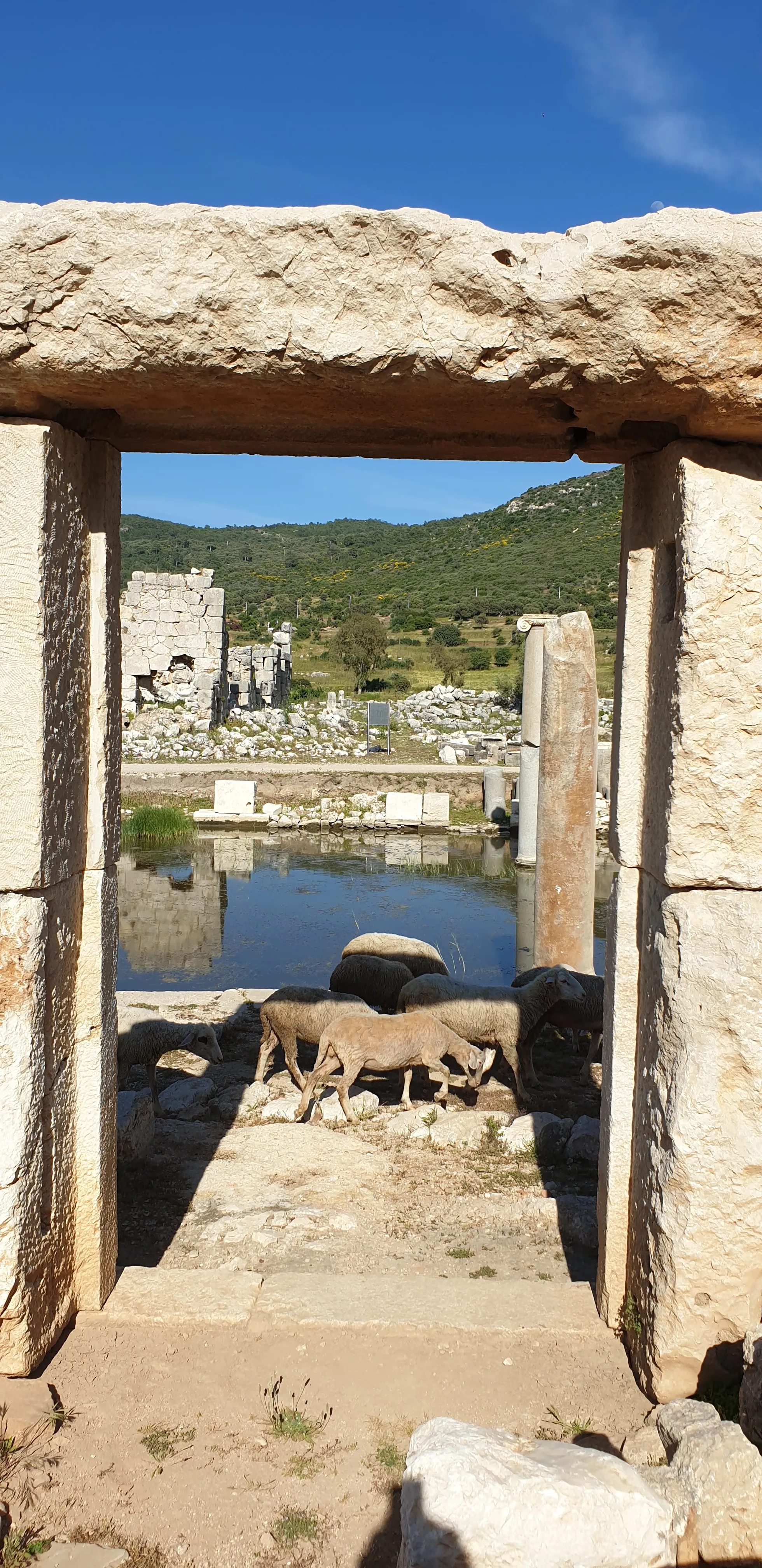 Patara Tour