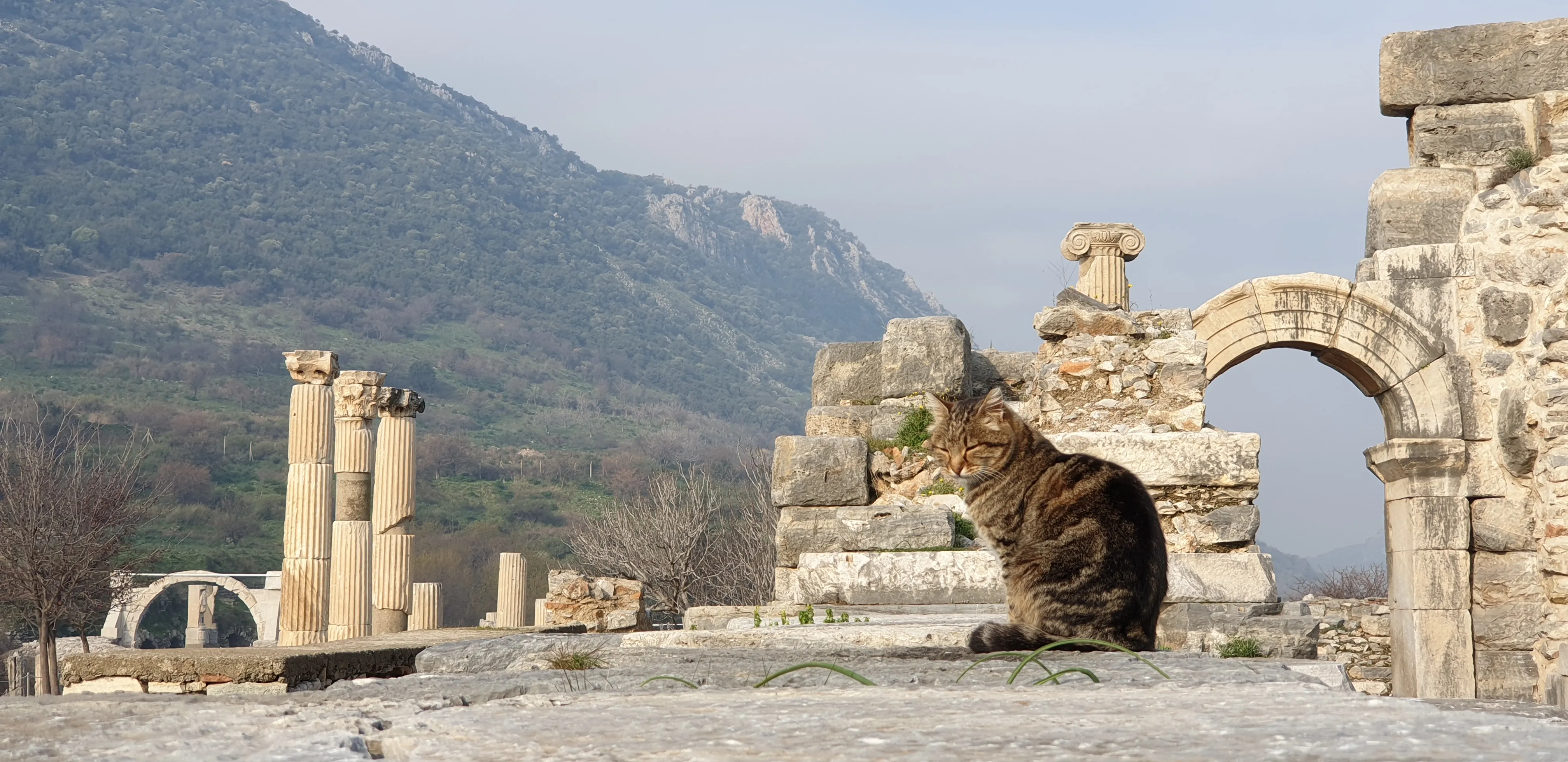 Ephesus Tour Ephesus Tour