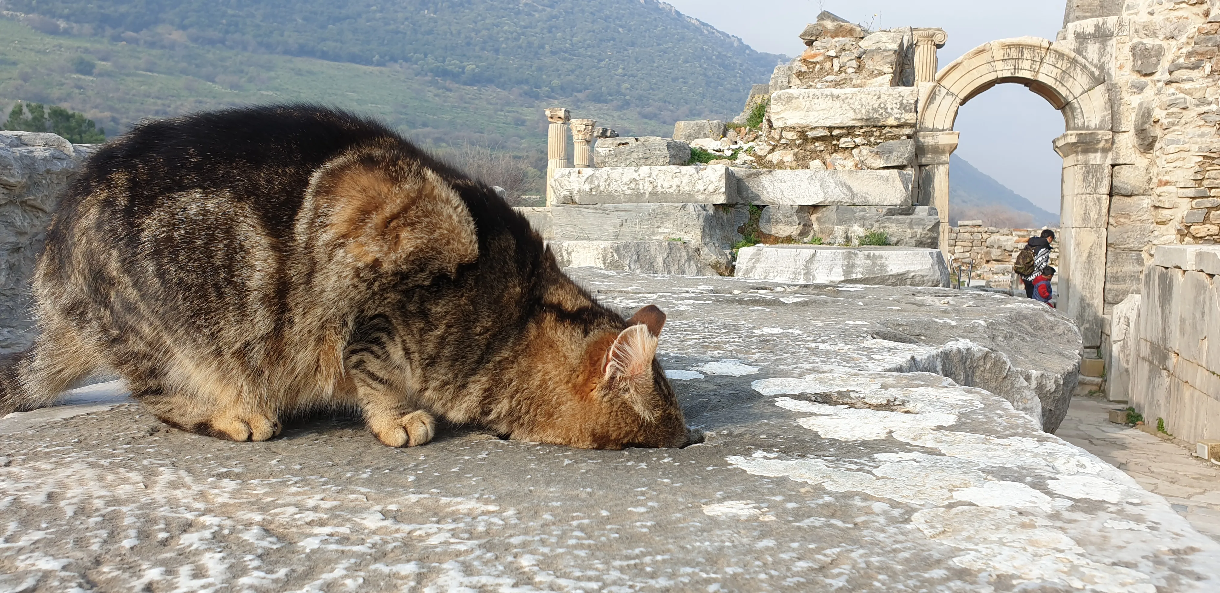 Ephesus Tour