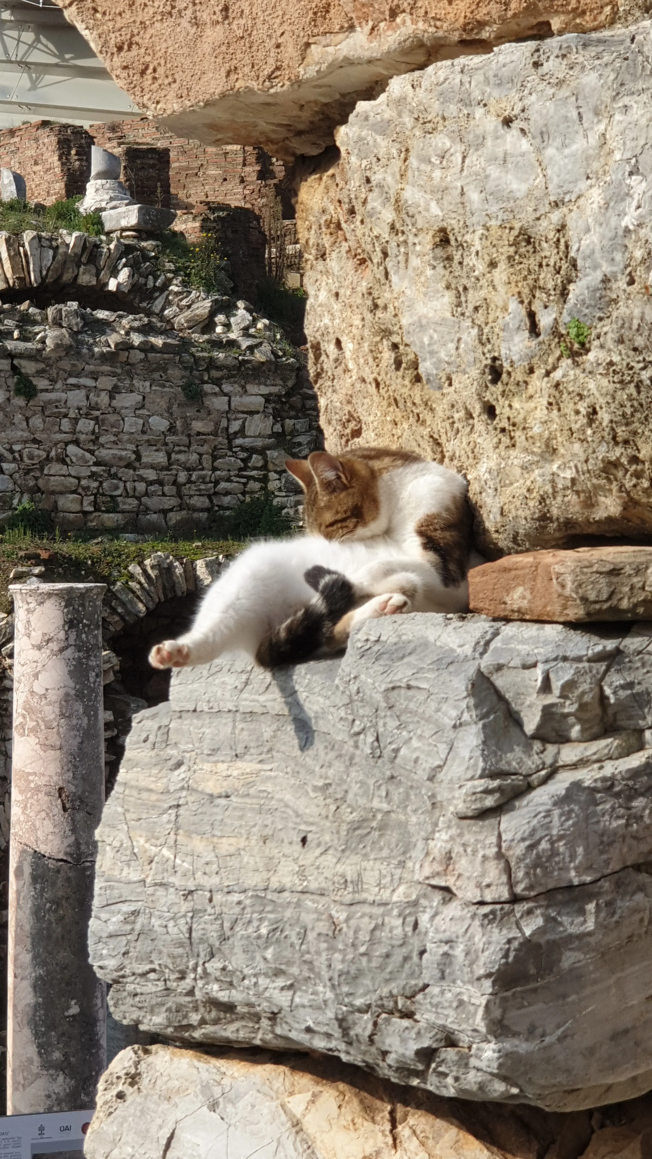 Ephesus Tour Ephesus Tour