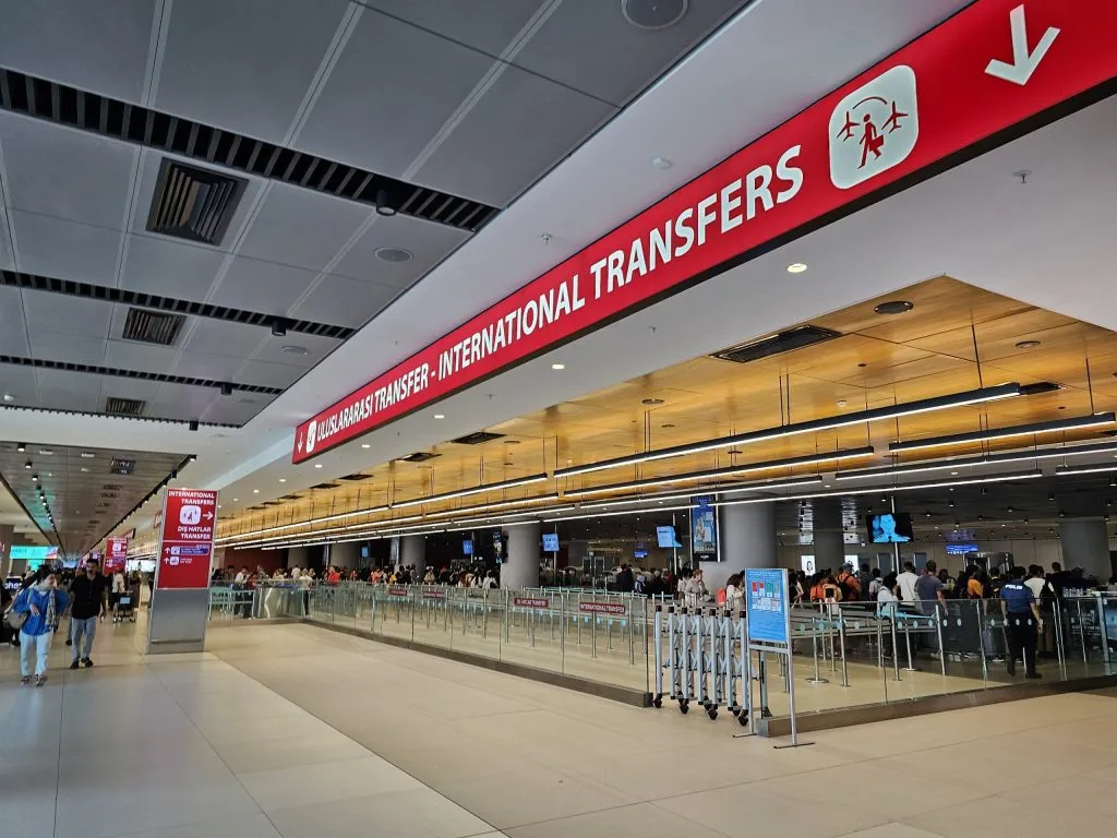 Visa and Customs Mastery: